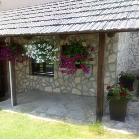 Apartments Novakovic Zlatibor Zewnętrze zdjęcie